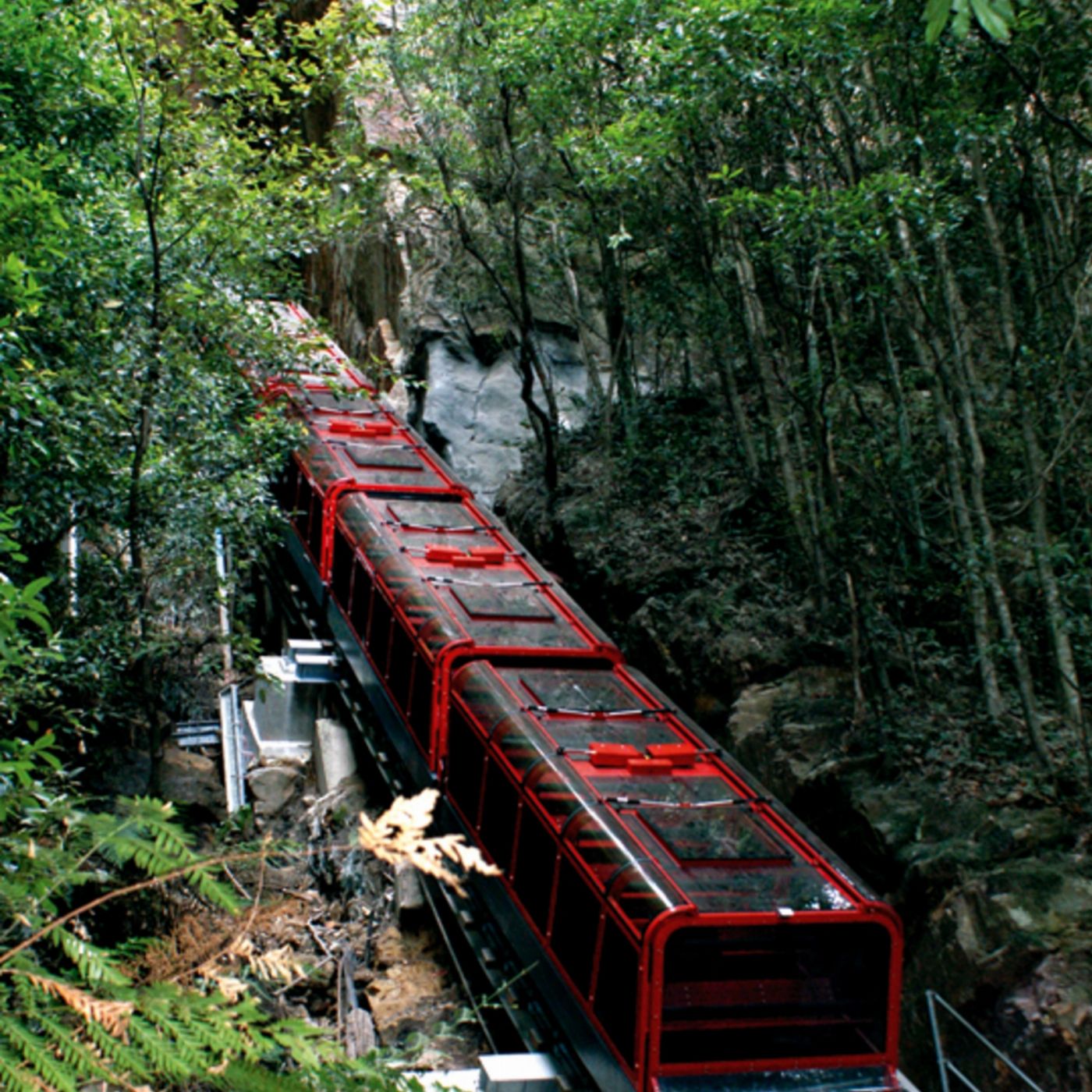 Brighton Coach & Tours Blue Mountain Experience