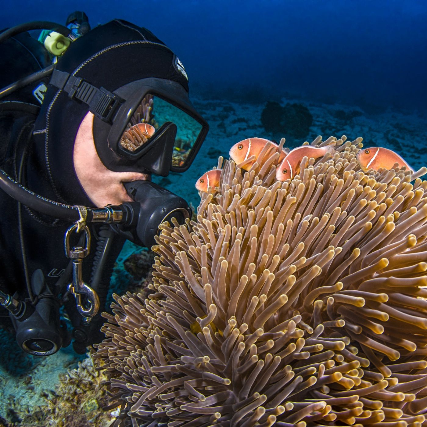 Passions of Paradise Full Day Outer Great Barrier Reef Tour + 2 Certified Dives