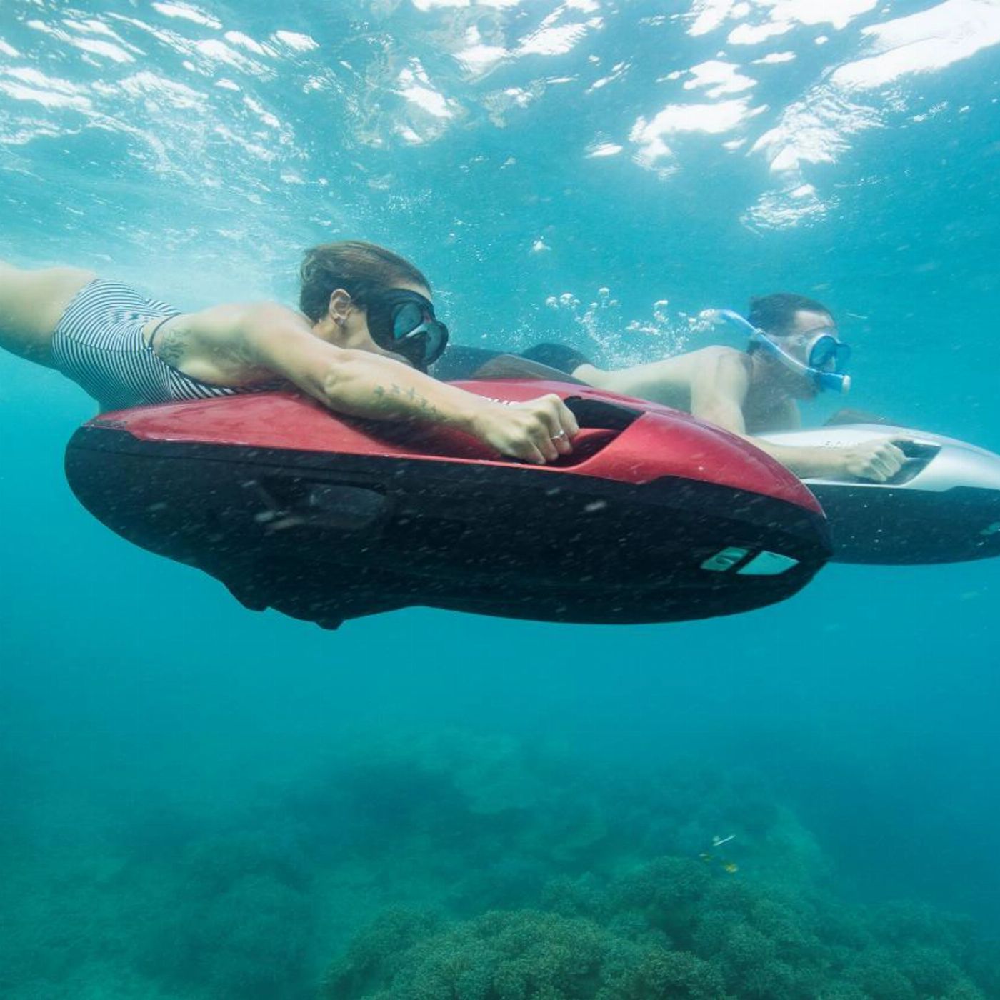 Ocean Dynamics Private Ocean Free Charter Half Day