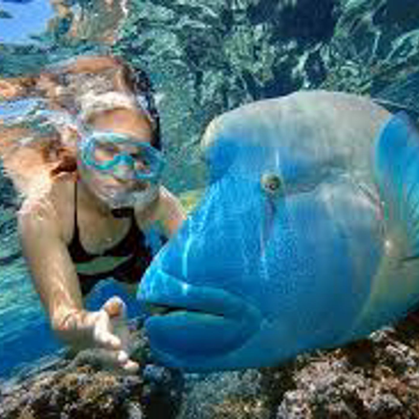Ocean Dynamics Hamilton Island - Private Ocean Spirit Charter Half Day