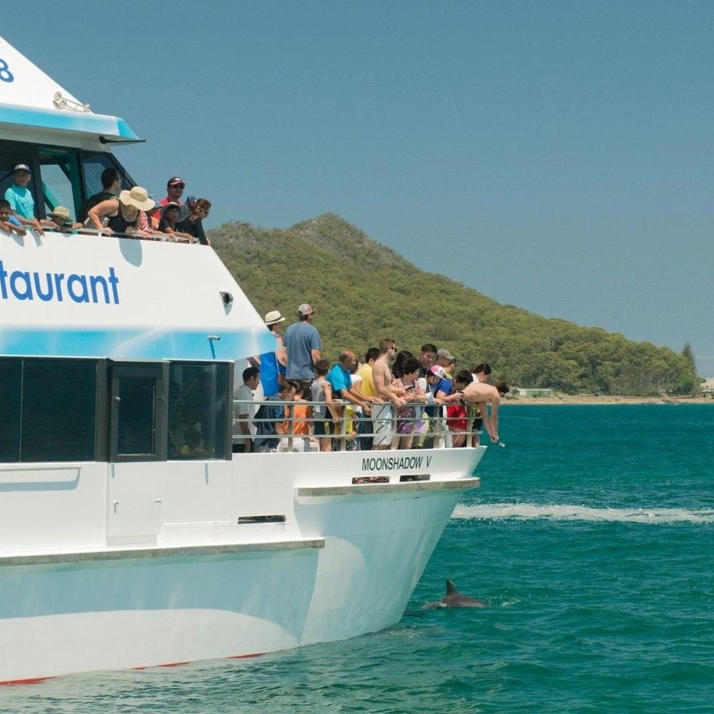 Brighton Coach & Tours Port Stephens Experience