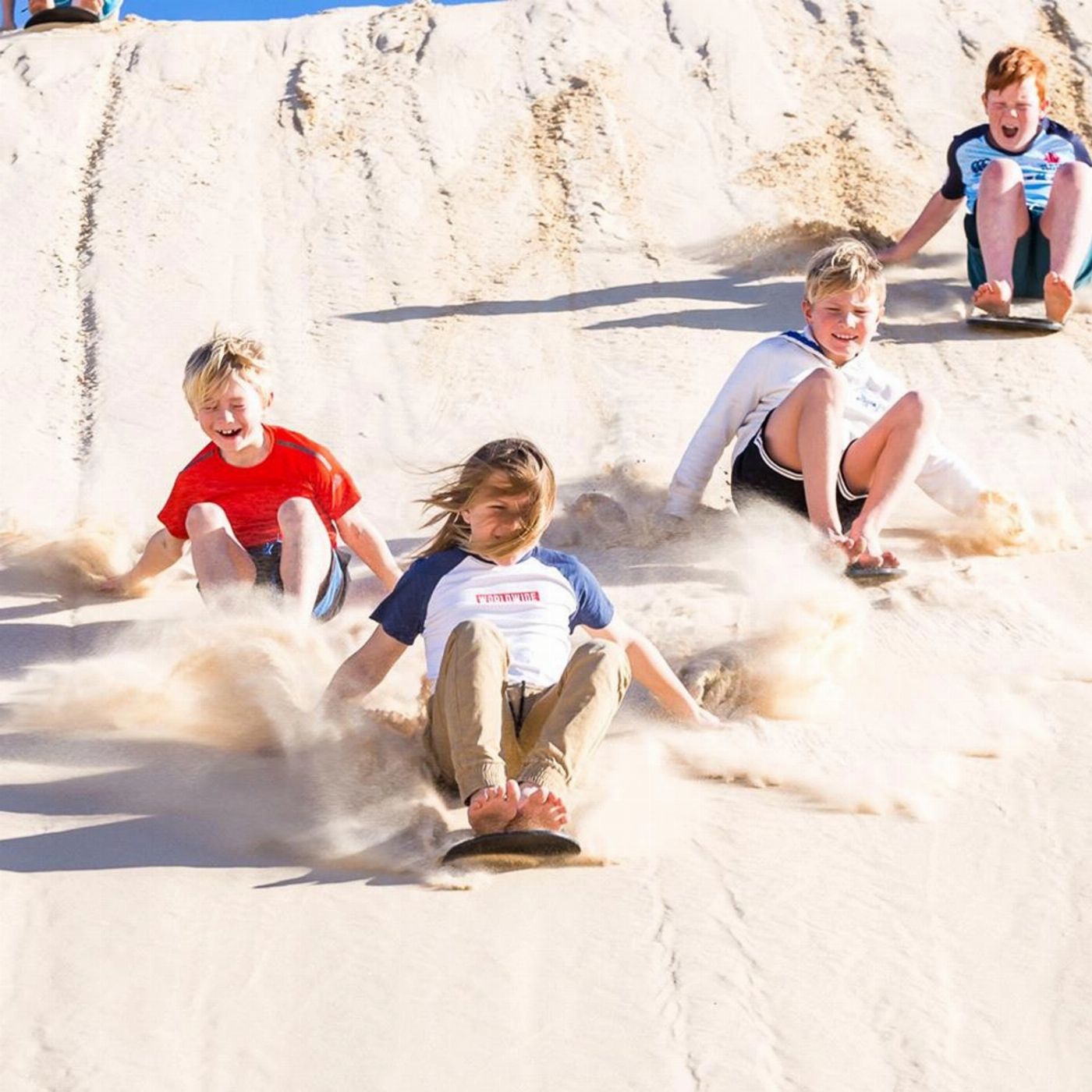 Brighton Coach & Tours Port Stephens Experience