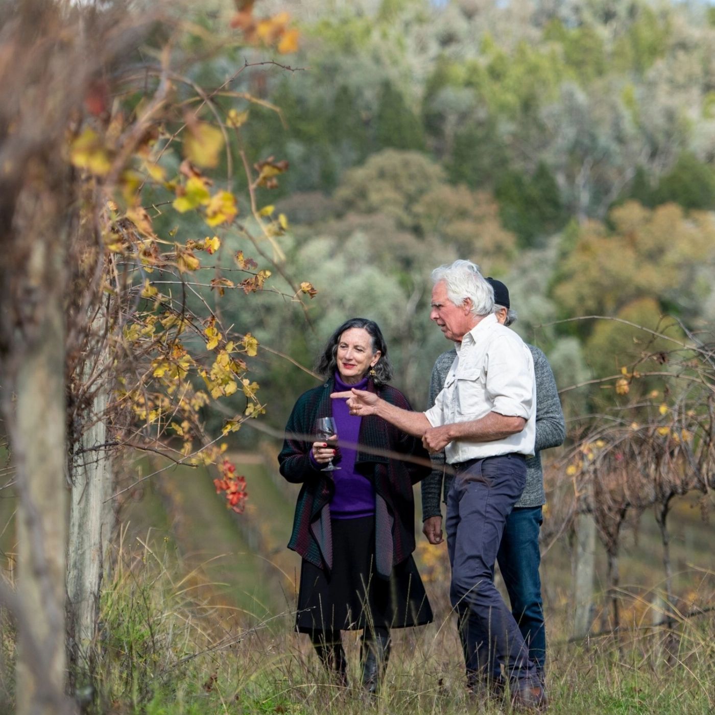 Brighton Coach & Tours Hunter Valley Day Tour Experience