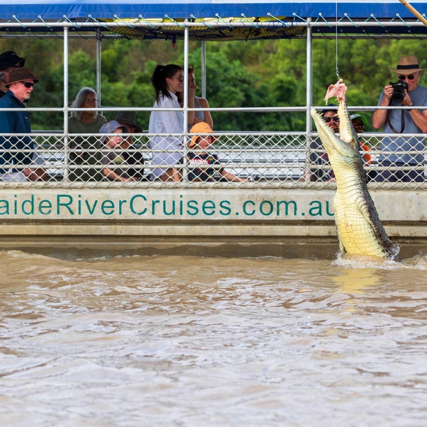Croc Country Safaris: Half-Day Jumping Crocs & Barra Fishing
