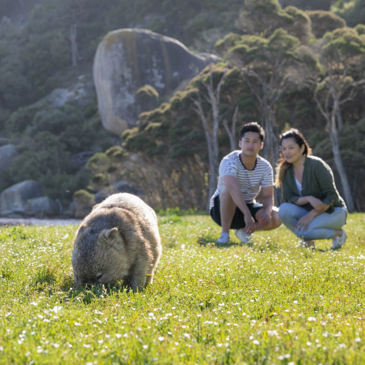 Explore Australia Explore Wilsons Promontory Ultimate Day Tour including Cruise