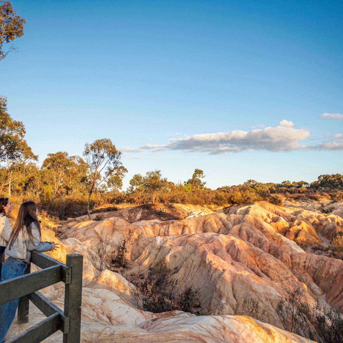 Explore Australia Murray River, Paddle Steamer & Wildlife Experience
