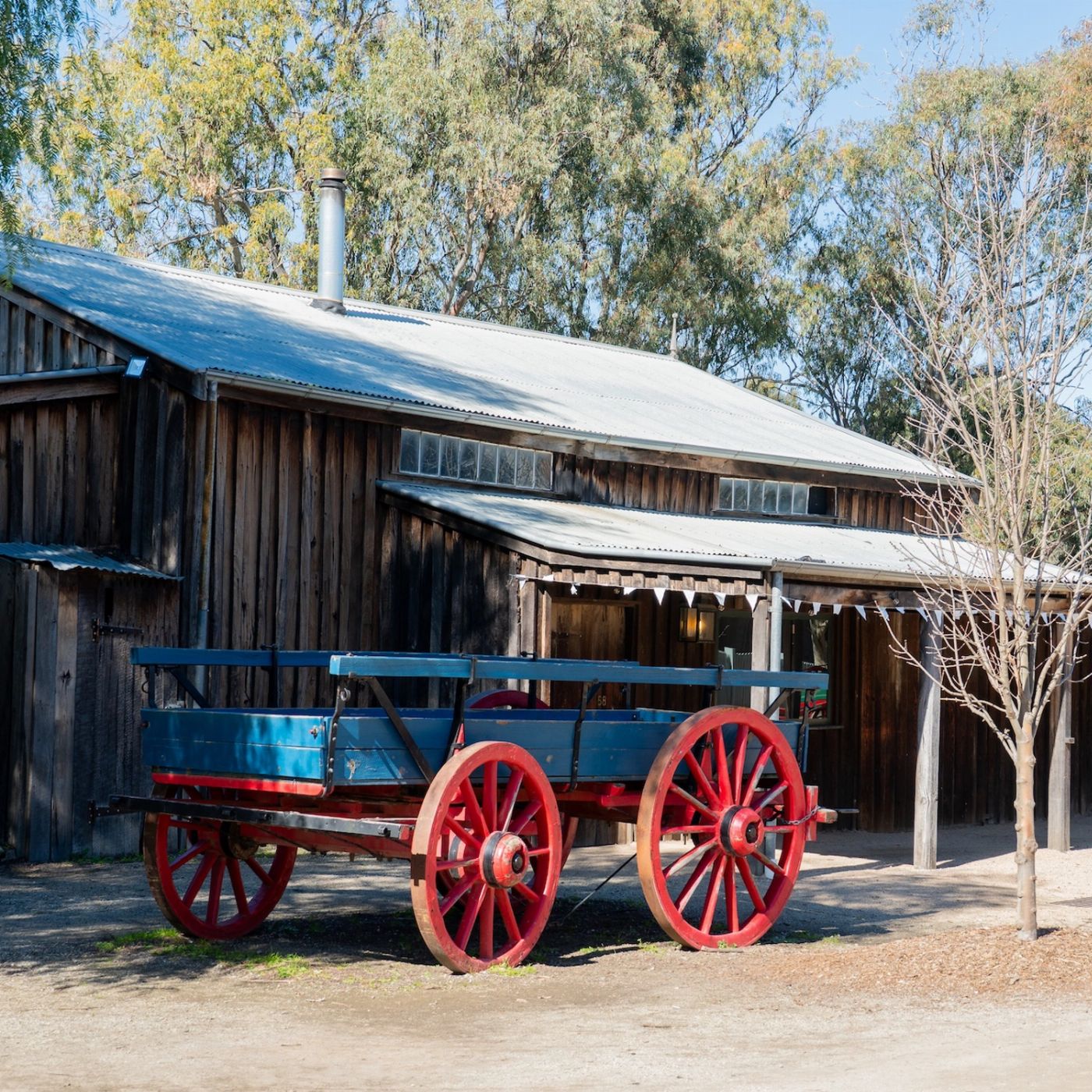 Explore Australia Murray River, Paddle Steamer & Wildlife Experience