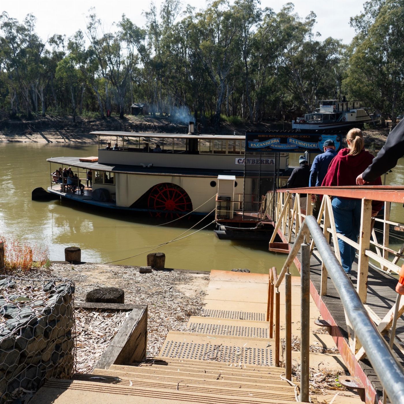 Explore Australia Murray River, Paddle Steamer & Wildlife Experience
