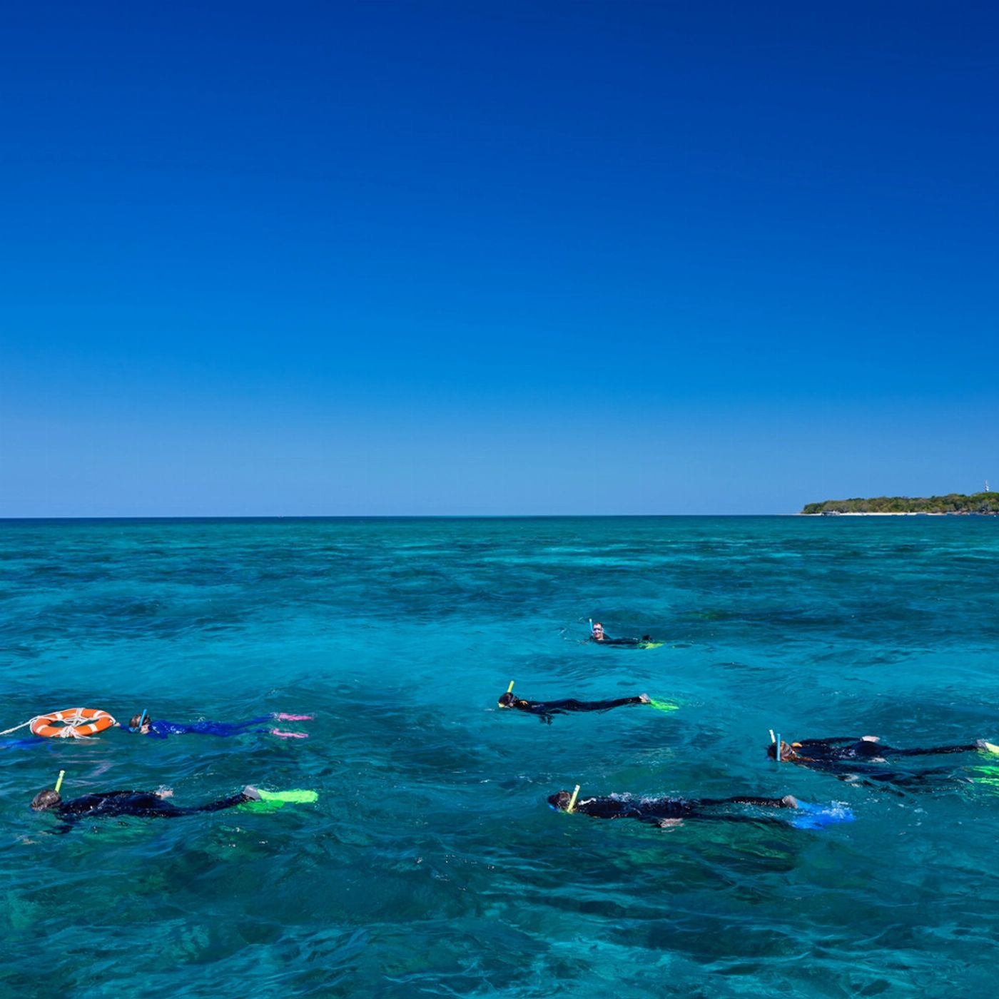 Big Cat Green Island Reef Cruises Green Island Tour Full Day including Diving