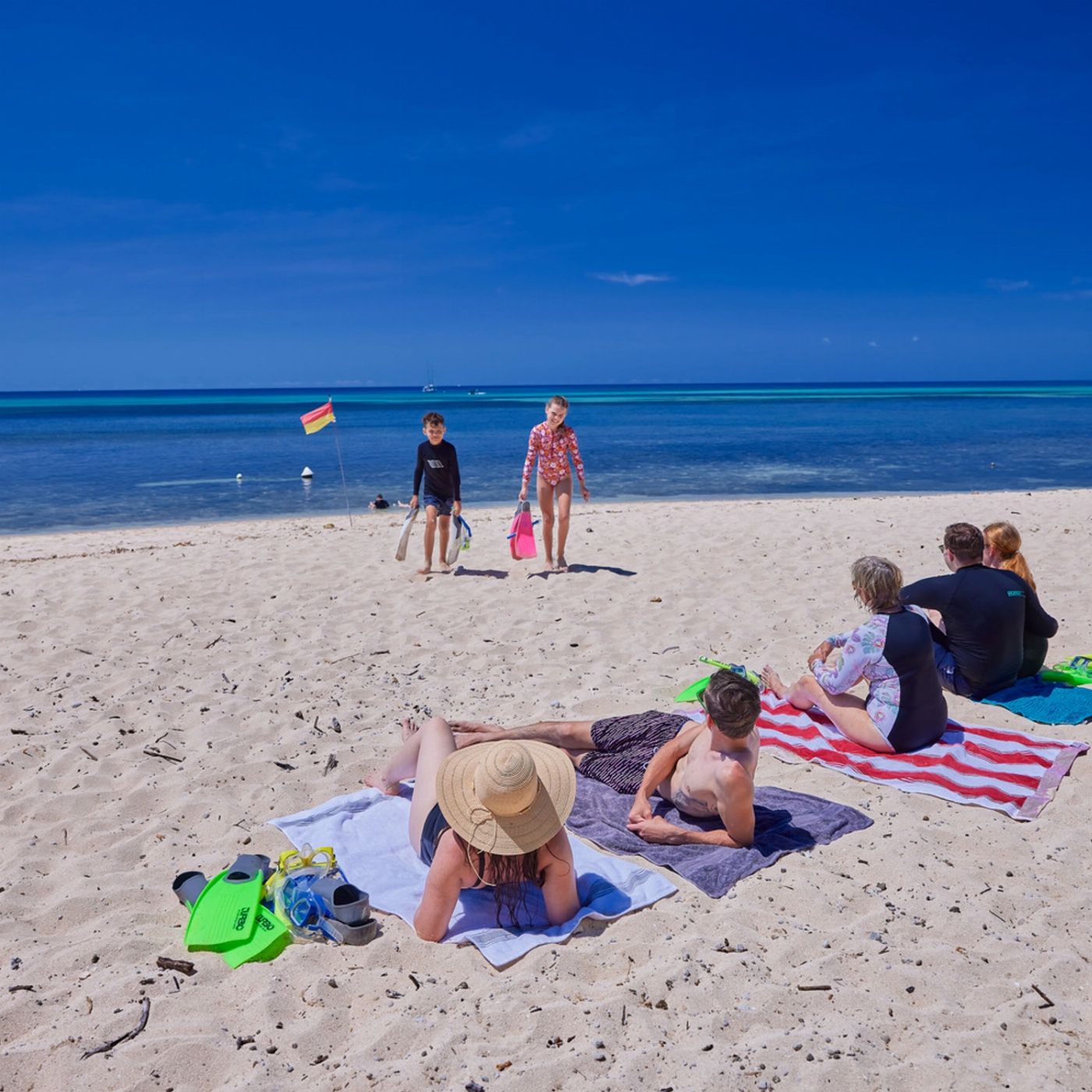 Big Cat Green Island Reef Cruises Green Island Tour Full Day including Diving