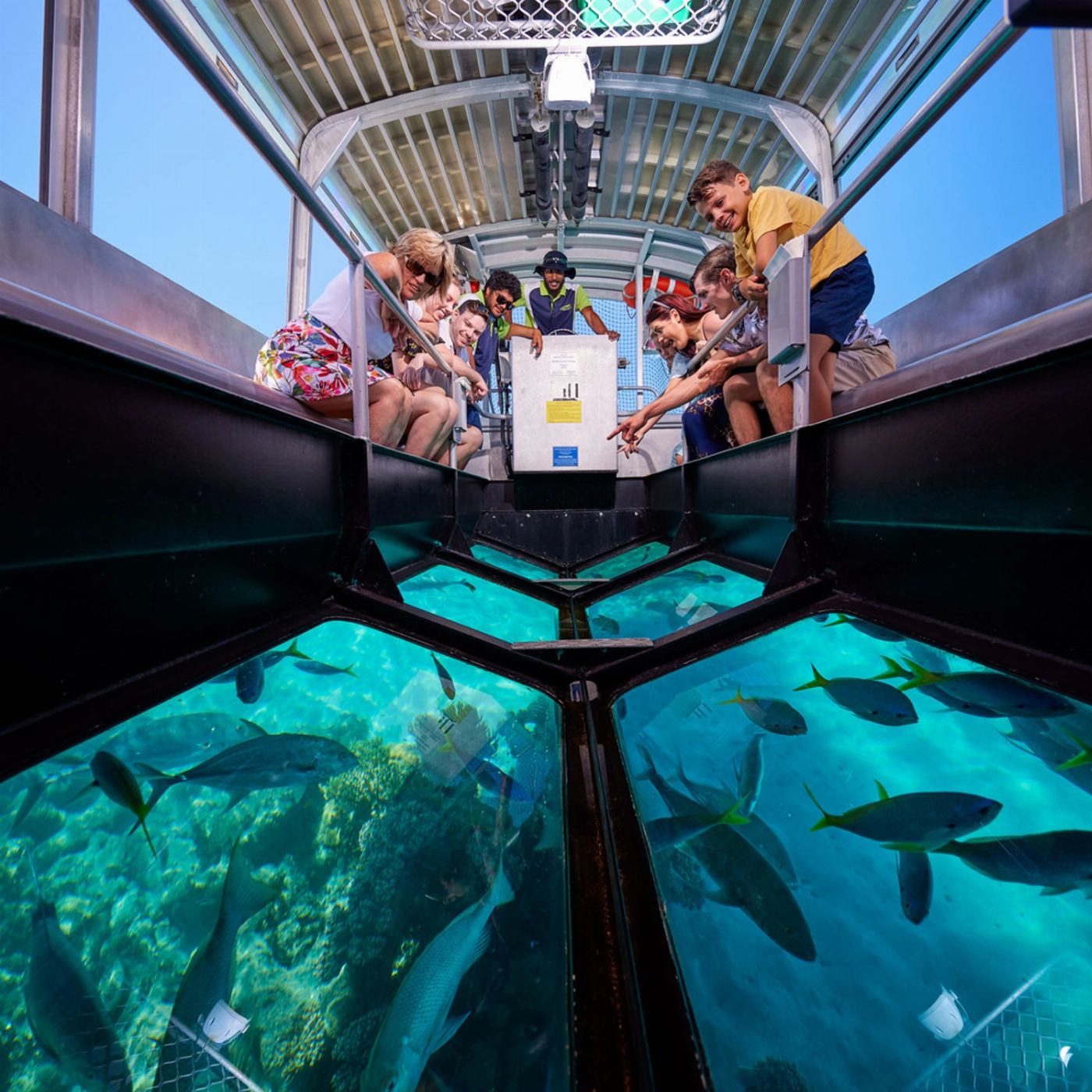 Big Cat Green Island Reef Cruises Green Island Tour Full Day including Diving
