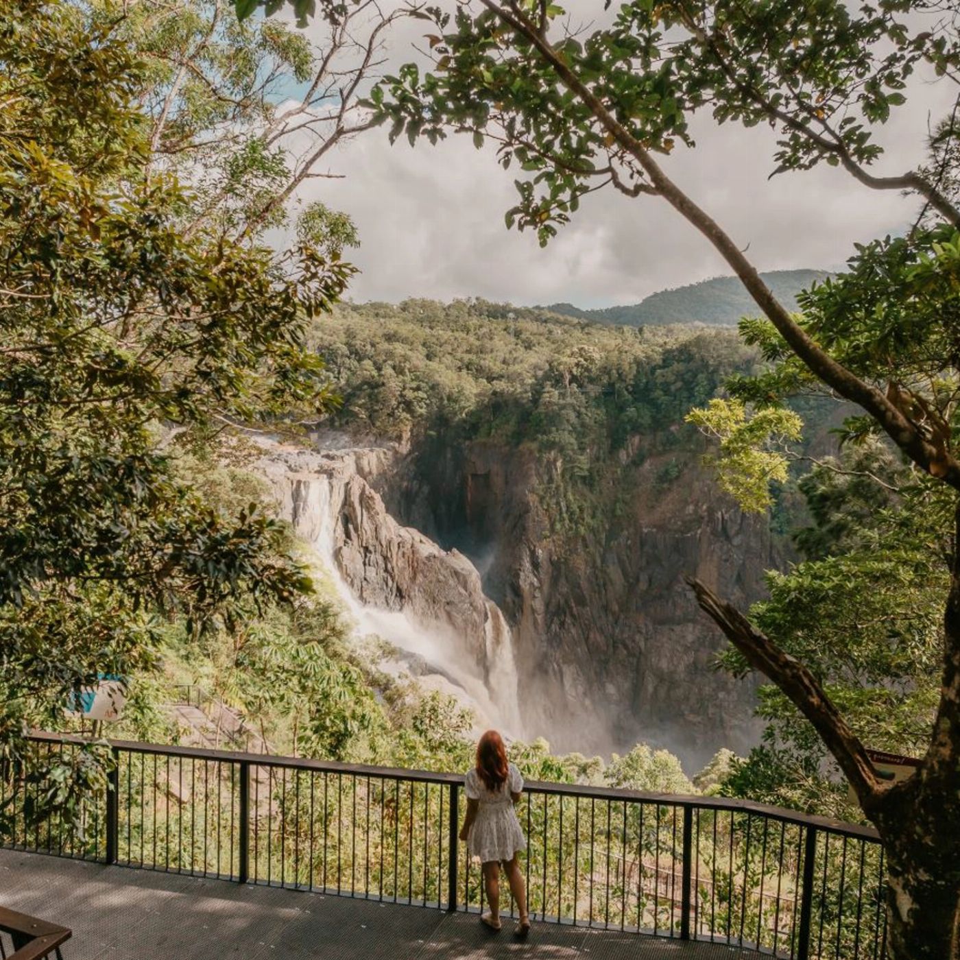 Down Under Tours Waterfall, Wetlands and Scenic Rail (ex Cairns)