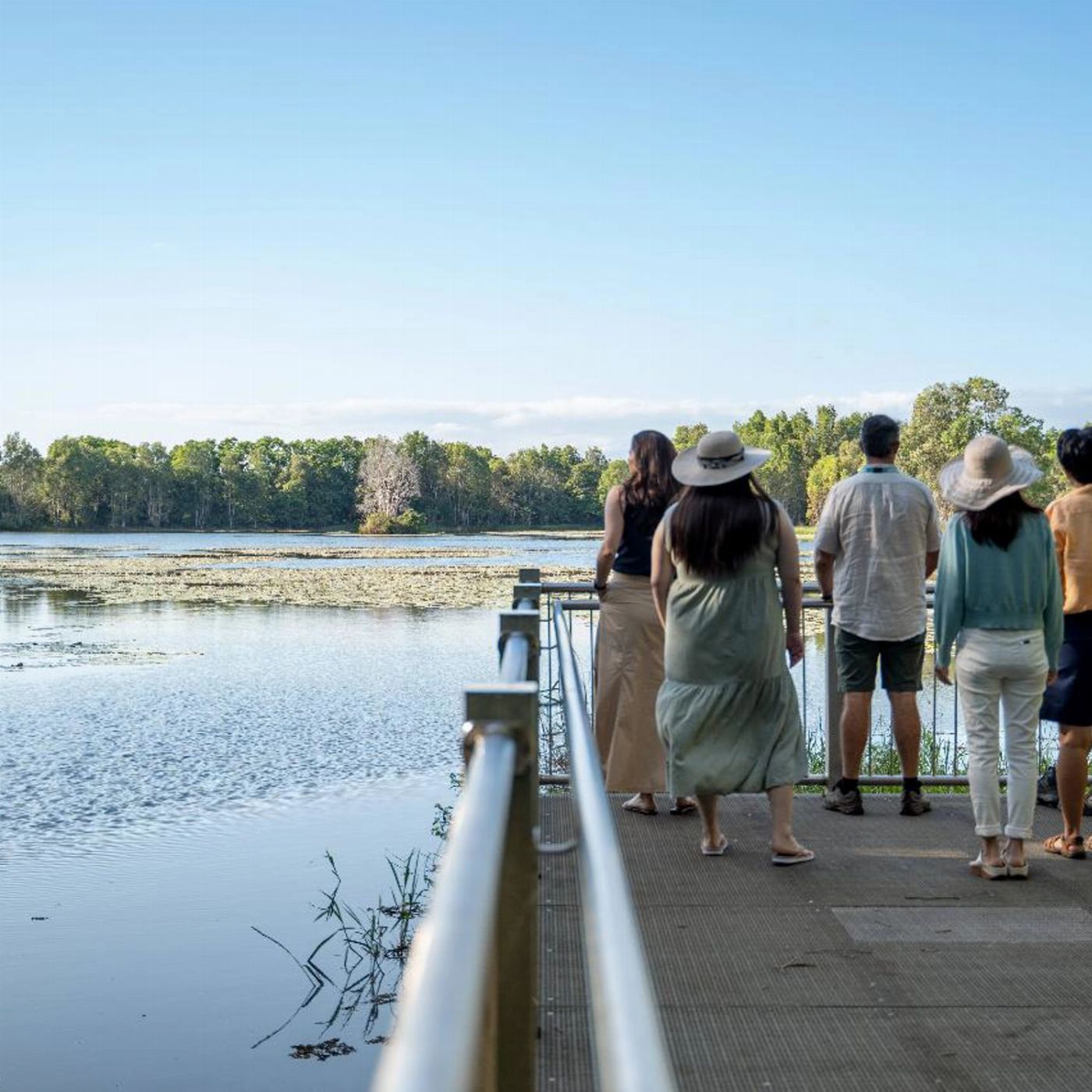 Down Under Tours Waterfall, Wetlands and Scenic Rail (Port Douglas)