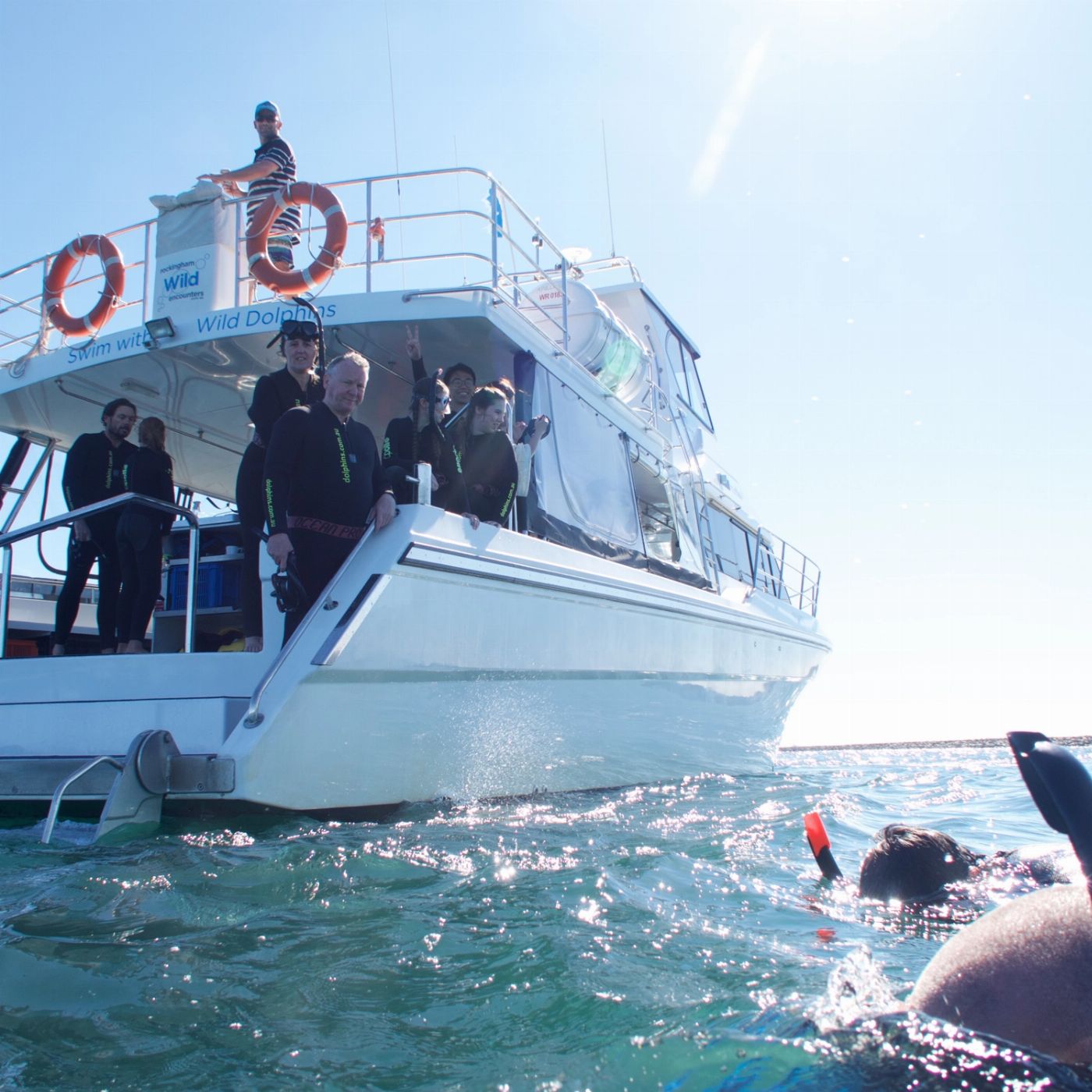Perth Wildlife Encounters Swim with Wild Dolphins