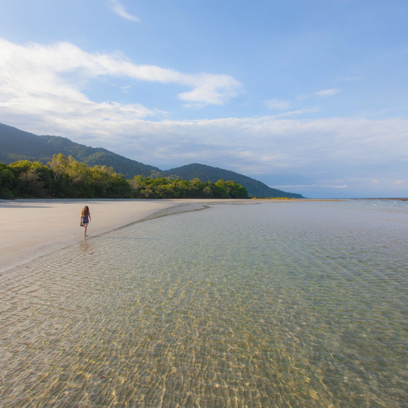 Tropic Wings Private Exclusive Daintree & Cape Tribulation