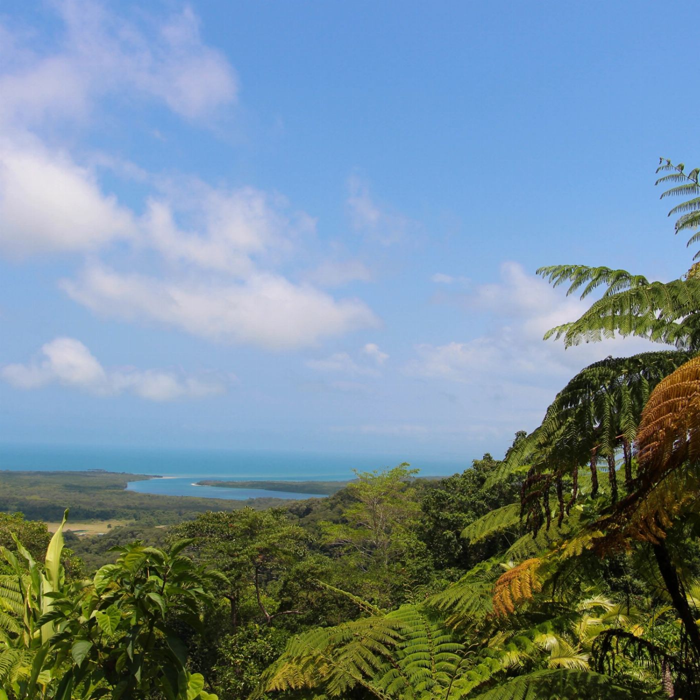 Tropic Wings Private Exclusive Daintree & Cape Tribulation