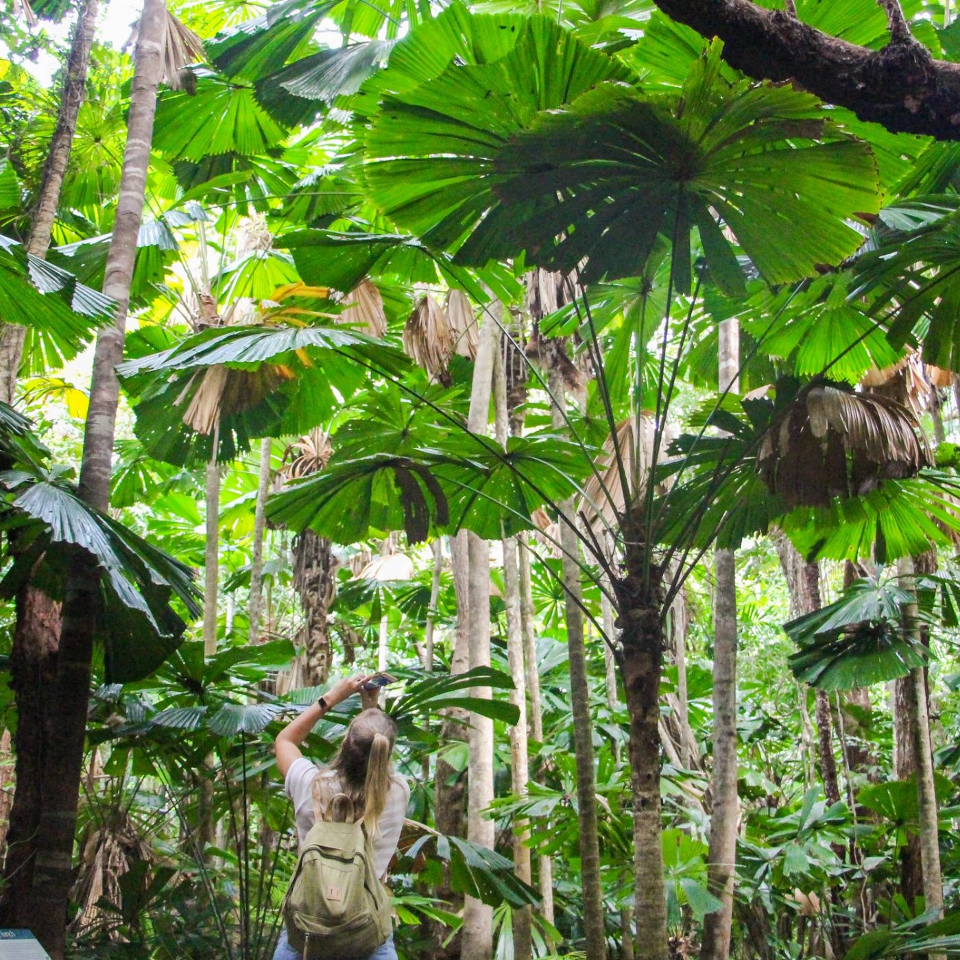 Tropic Wings Private Exclusive Daintree & Cape Tribulation