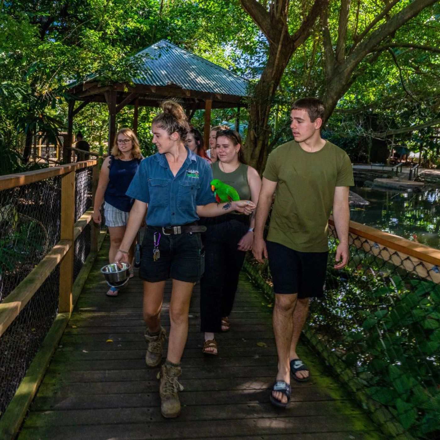 Tropic Wings Private Exclusive Daintree & Mossman