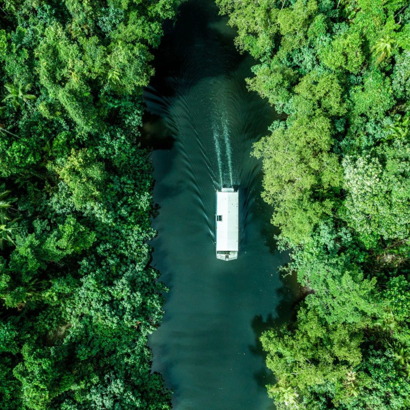 Tropic Wings Private Exclusive Daintree & Mossman