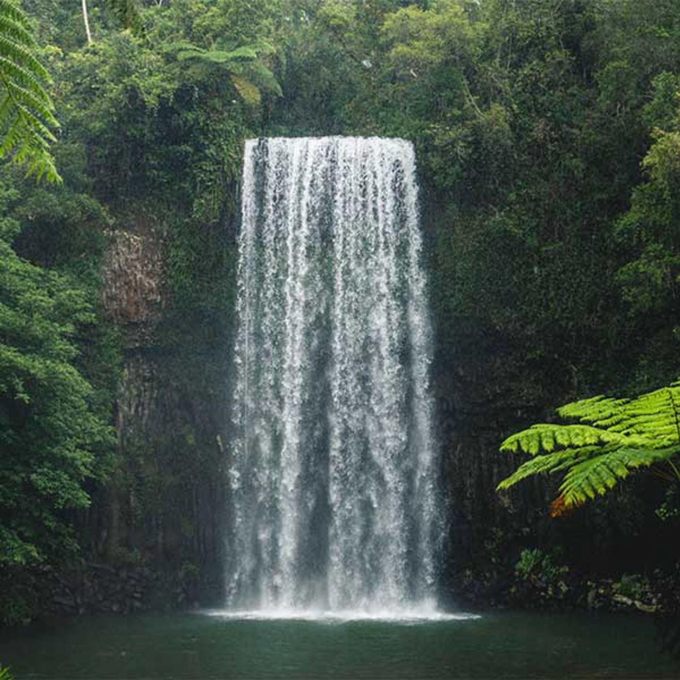 Tropic Wings Private Exclusive Atherton Tablelands