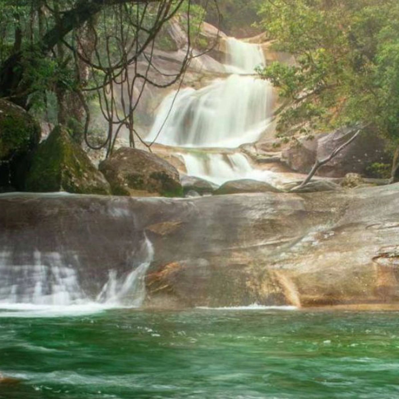 Tropic Wings Private Exclusive Atherton Tablelands
