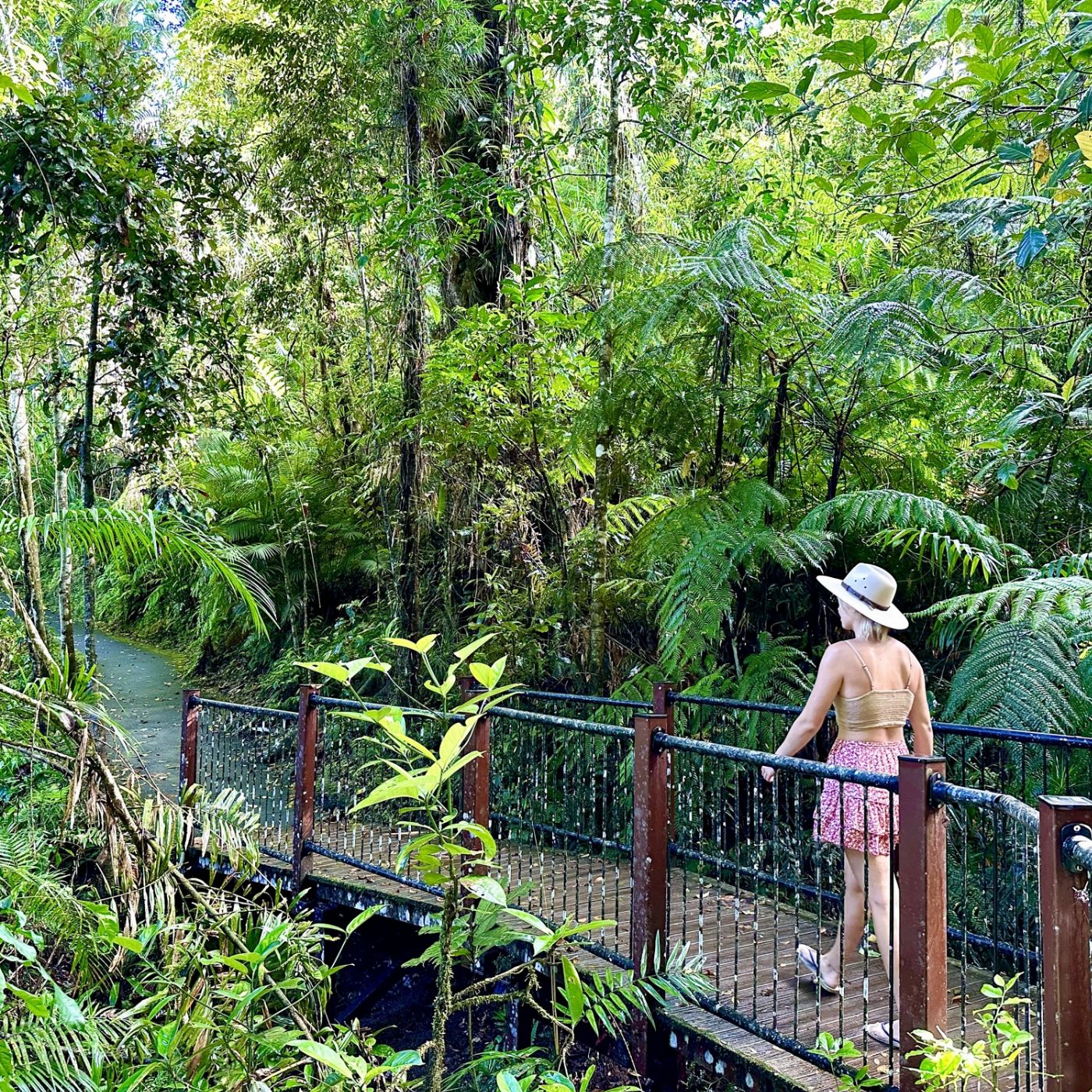 Cairns Adventure Group Waterfall Tours (Depart Port Douglas)