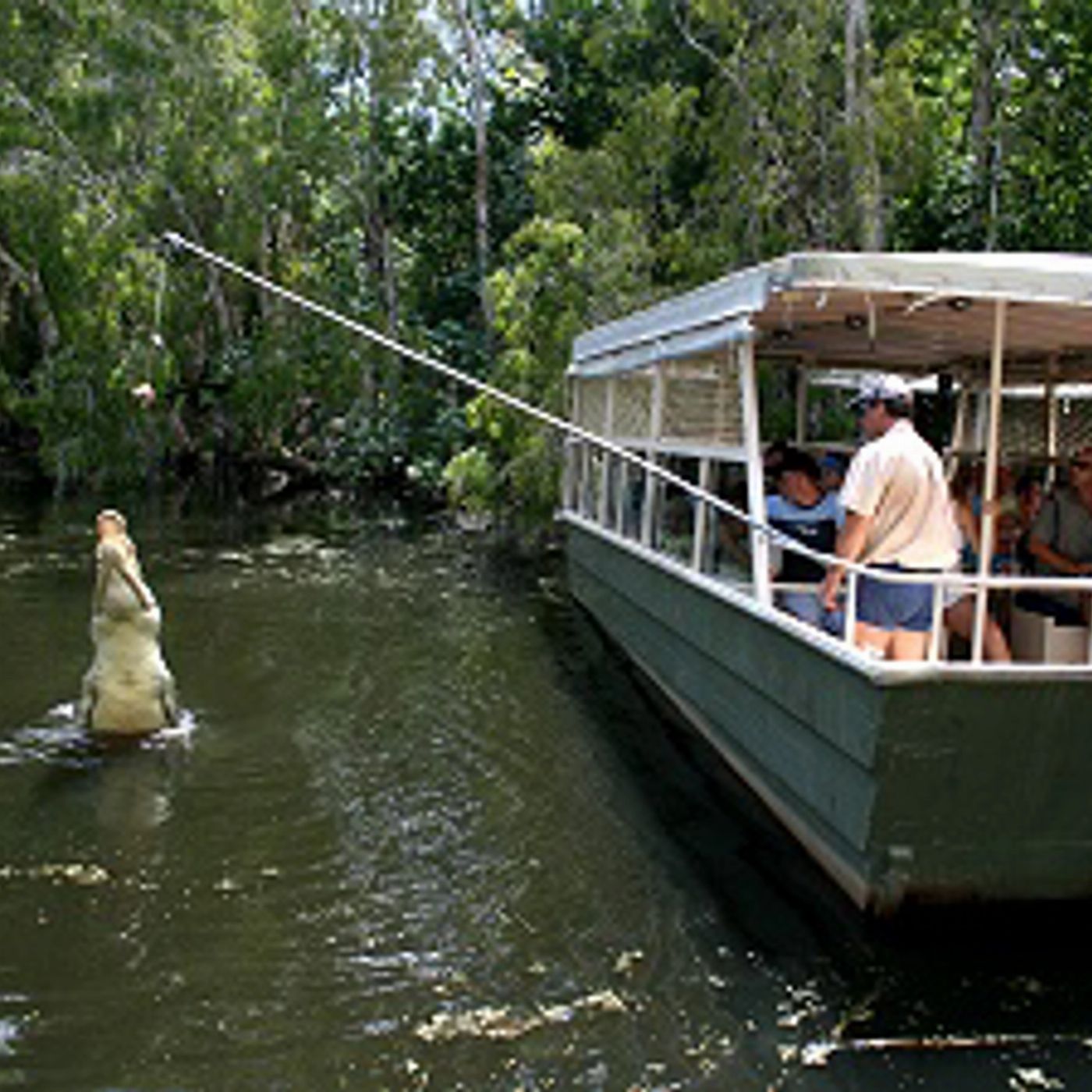 Beaches Meet & Greet Hartley's Crocodile Adventures- AM - Palm Cove