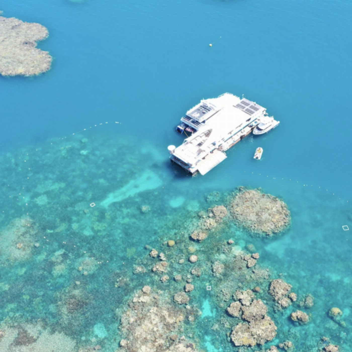 Reef Magic Pontoon Snorkelling (Family - 2 Adult + 2 Children) -