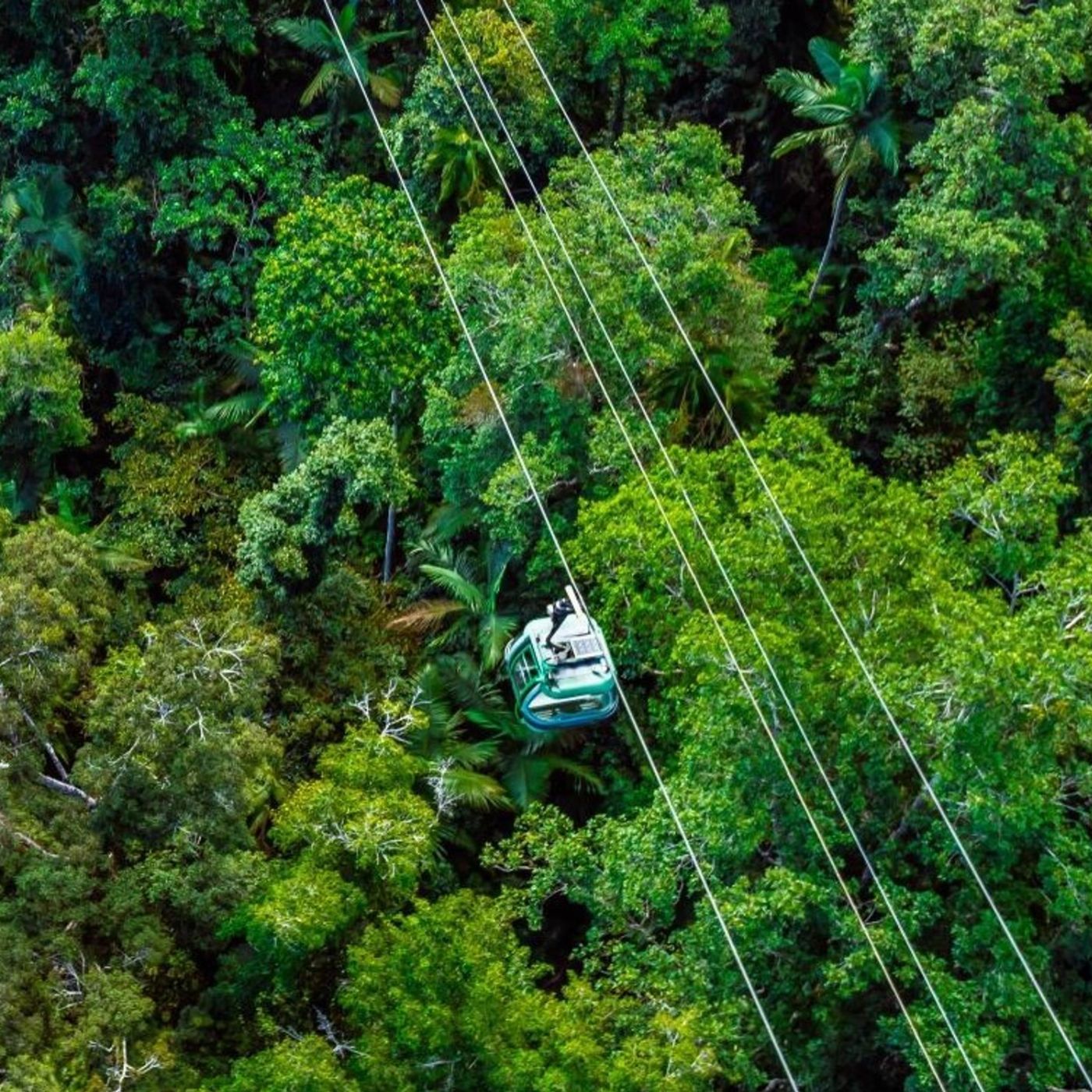 Down Under Tours Kuranda Self Drive: Scenic Railway (09.50am) and Skyrail (1:30pm)