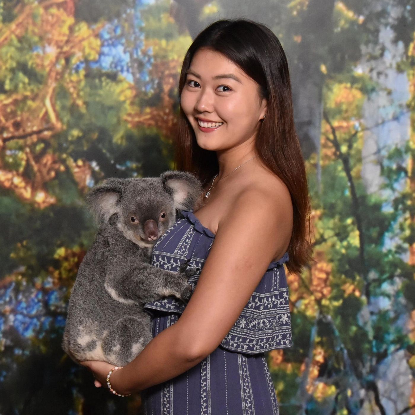 Cairns Koalas & Creatures - Private Wildlife Experience