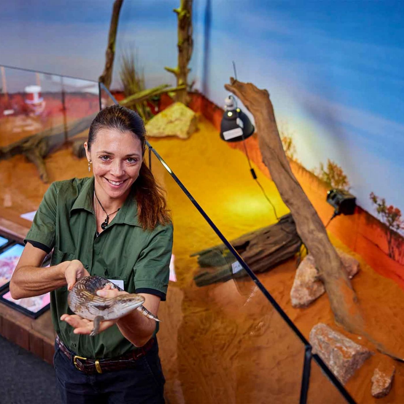Cairns Koalas & Creatures - Private Wildlife Experience