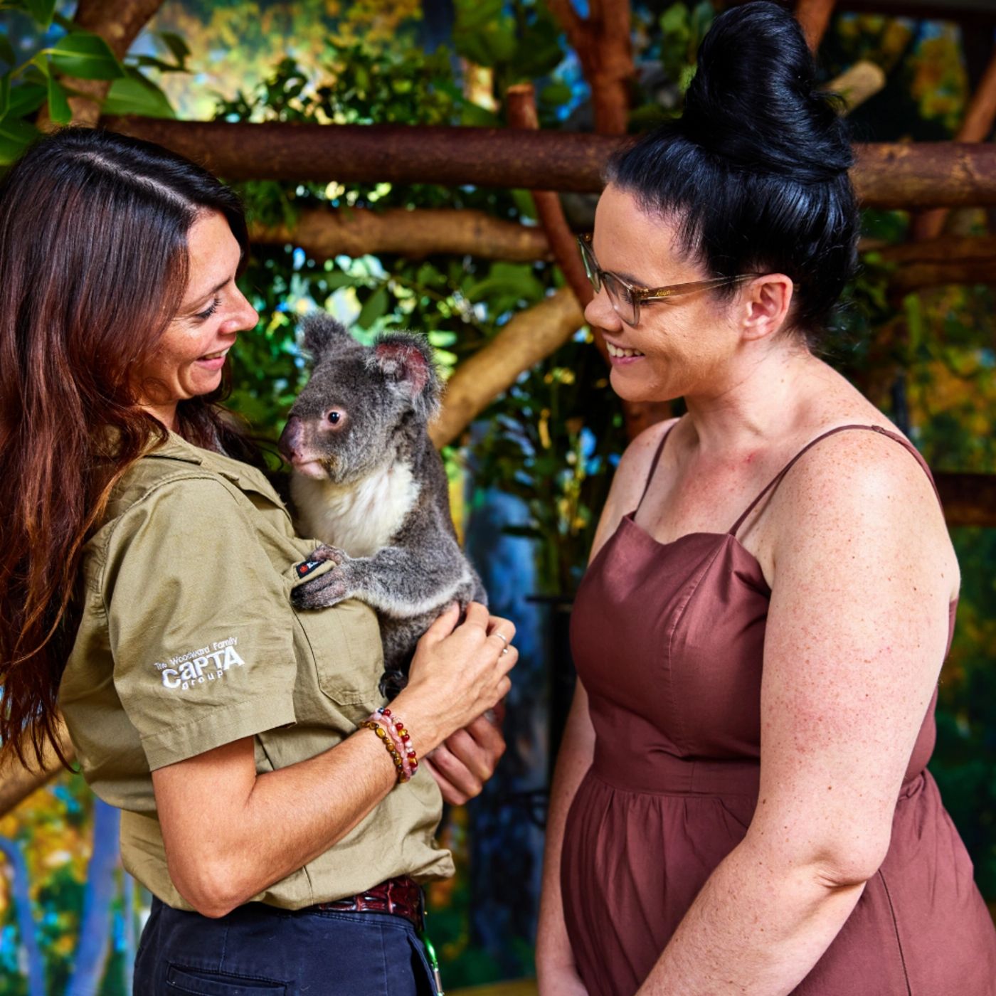 Cairns Koalas & Creatures - Private Wildlife Experience