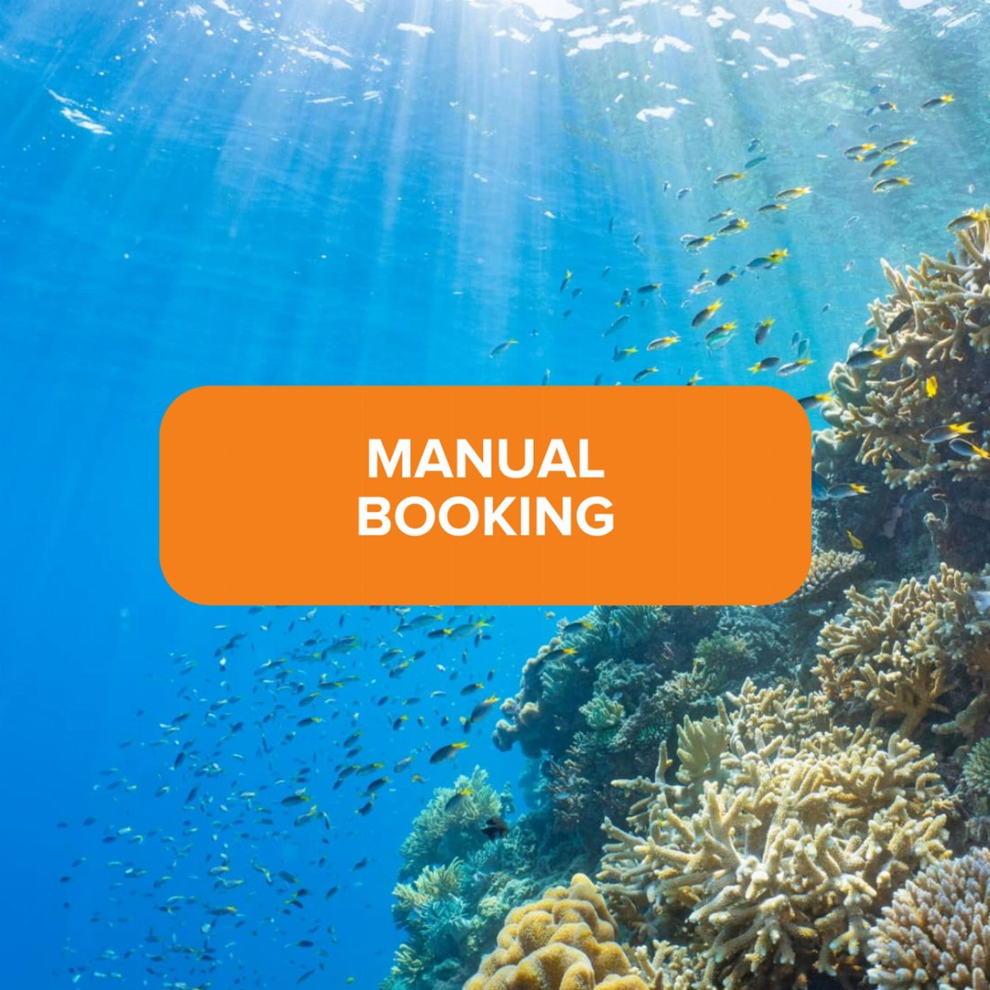 Sunlover Reef Cruises MANUAL BOOKING (connectivity issues, or reissue)