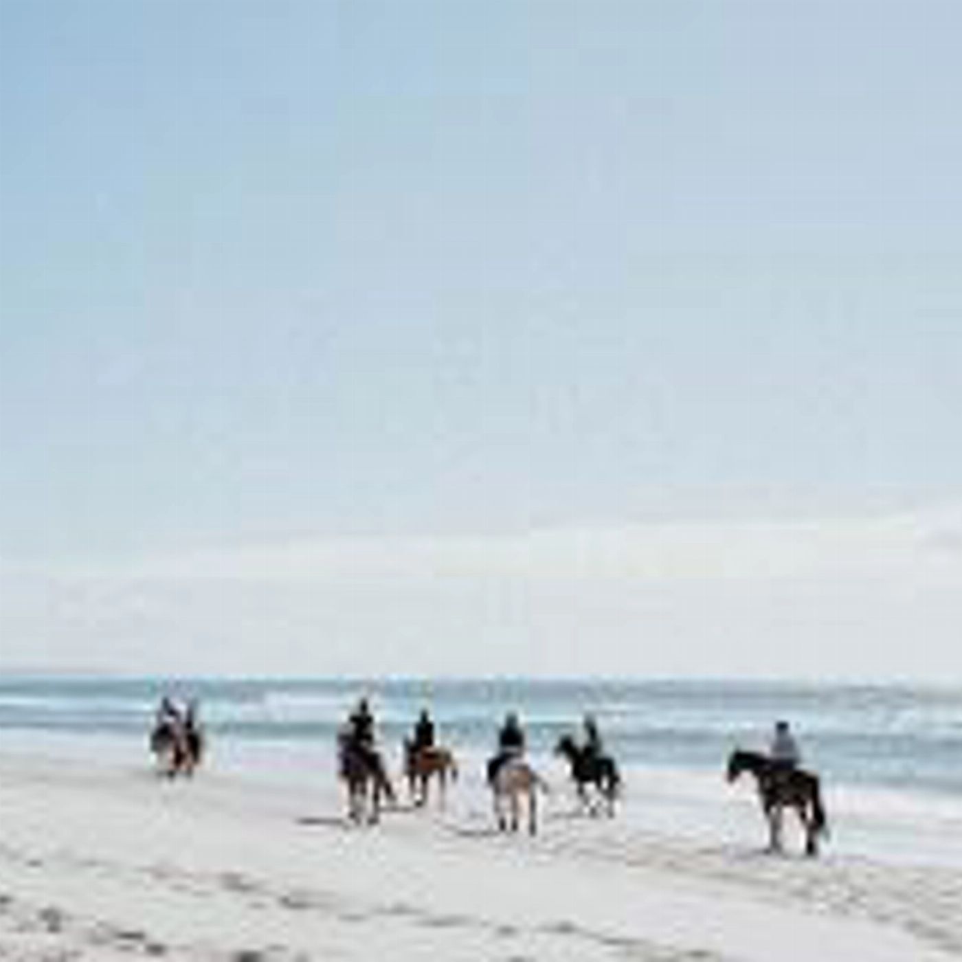 Zephyr Horses Forest to Beach