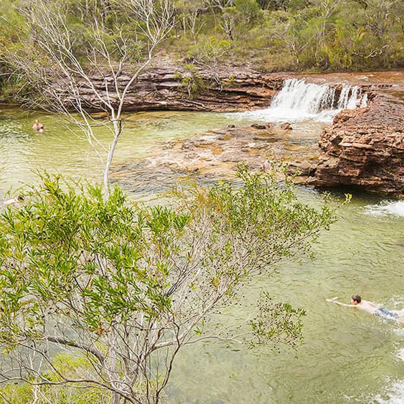 Discovery Tours Cairns to Cape York 9 Day Tour - Drive / Fly (Single)