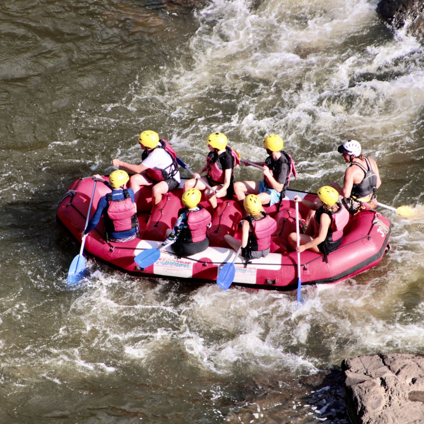 Cairns Adventure Group Barron River Rafting (Self Drive - Lake Placid Carpark)