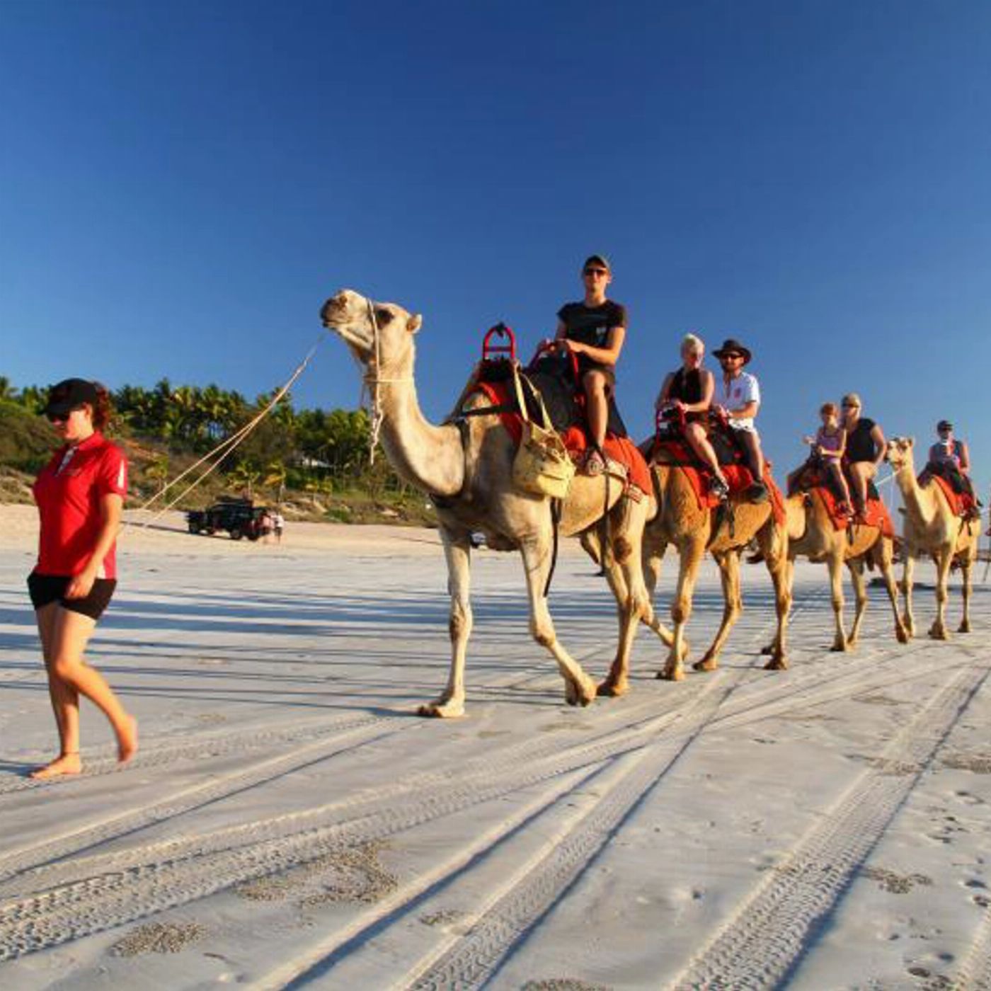 Adventure Tours (ATA) Darwin to Perth Tour with Ningaloo Reef, Exmouth, Karijini & The Kimberley (DB10 + BP10) - Including Broome accommodation