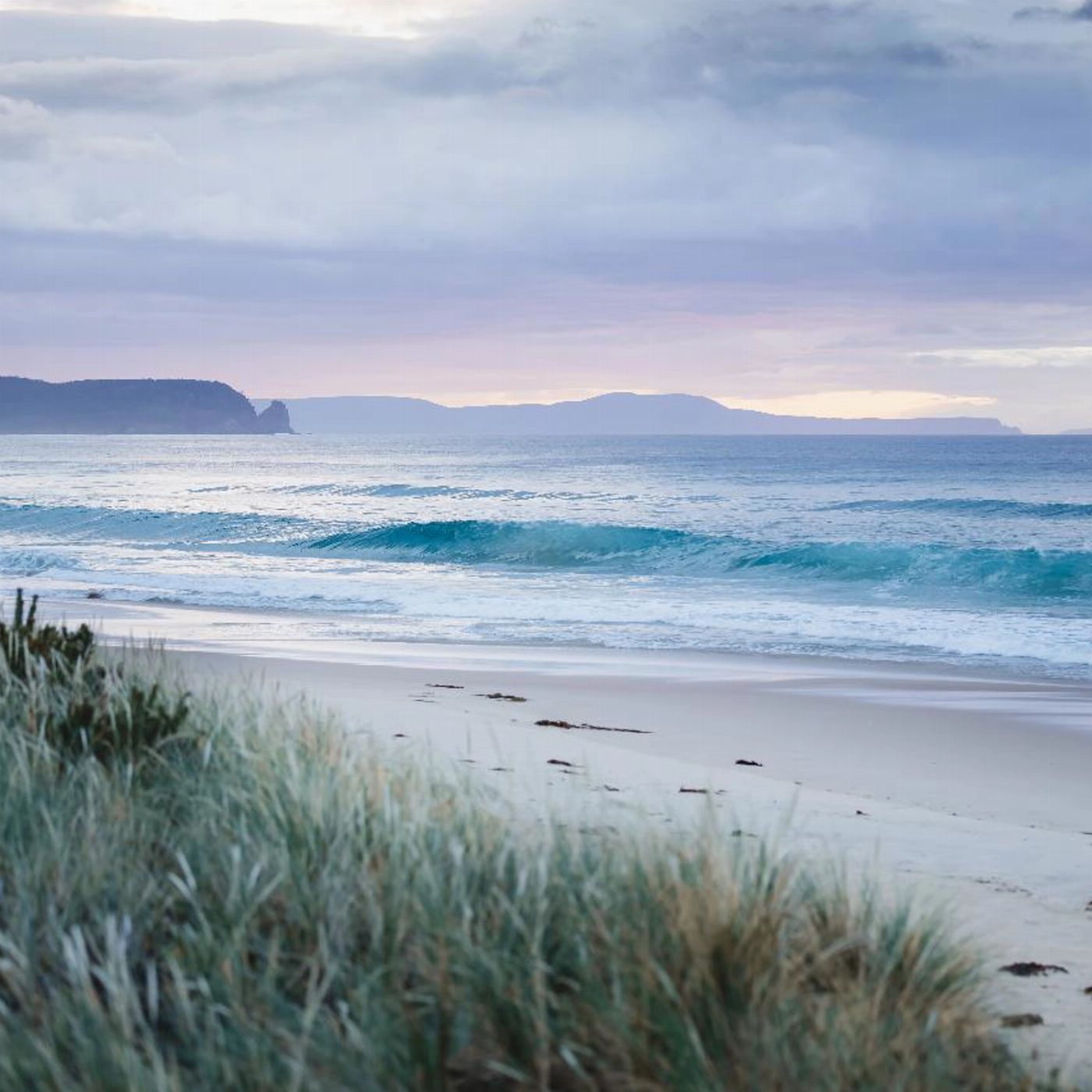 Tassie Tours 3 Day Tasmanian Highlights Bundle 2 – Hobart, Wineglass Bay and Bruny Island