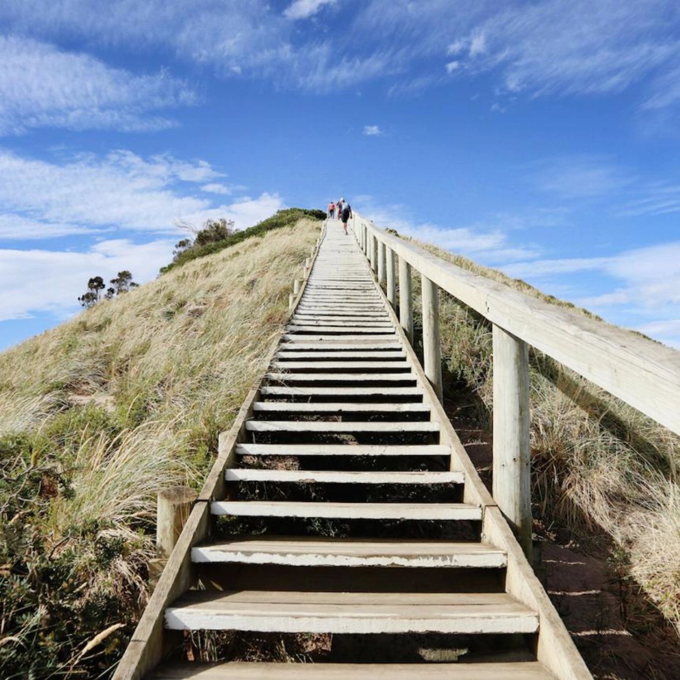 Tassie Tours 3 Day Tasmanian Highlights Bundle 2 – Hobart, Wineglass Bay and Bruny Island