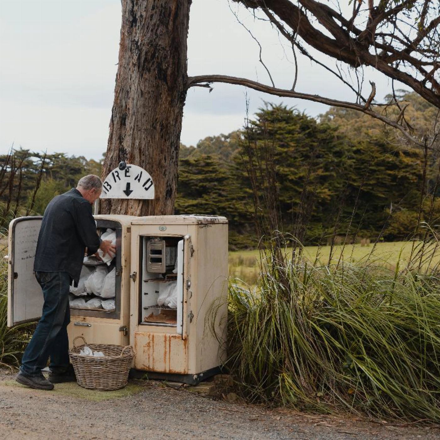 Tassie Tours 3 Day Tasmanian Highlights Bundle 2 – Hobart, Wineglass Bay and Bruny Island