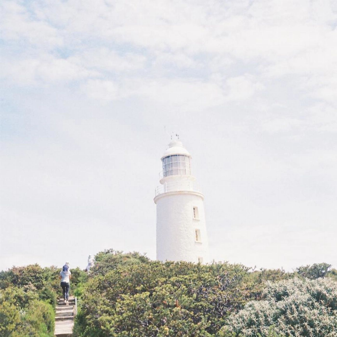 Tassie Tours 6 Day Island Icons Day Tour Bundle - Cradle Mountain, Wineglass Bay, Hobart Highlights, Port Arthur, Bruny Island, Hastings and Tahune