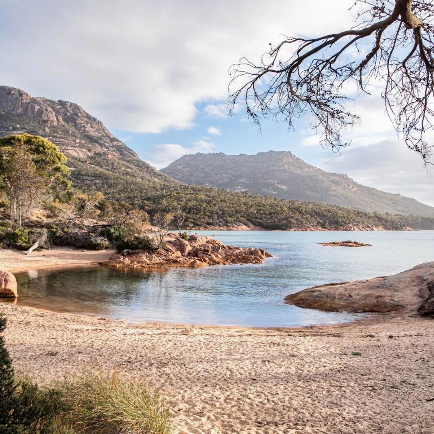 Tassie Tours A Day At Wineglass Bay - Launceston to Hobart