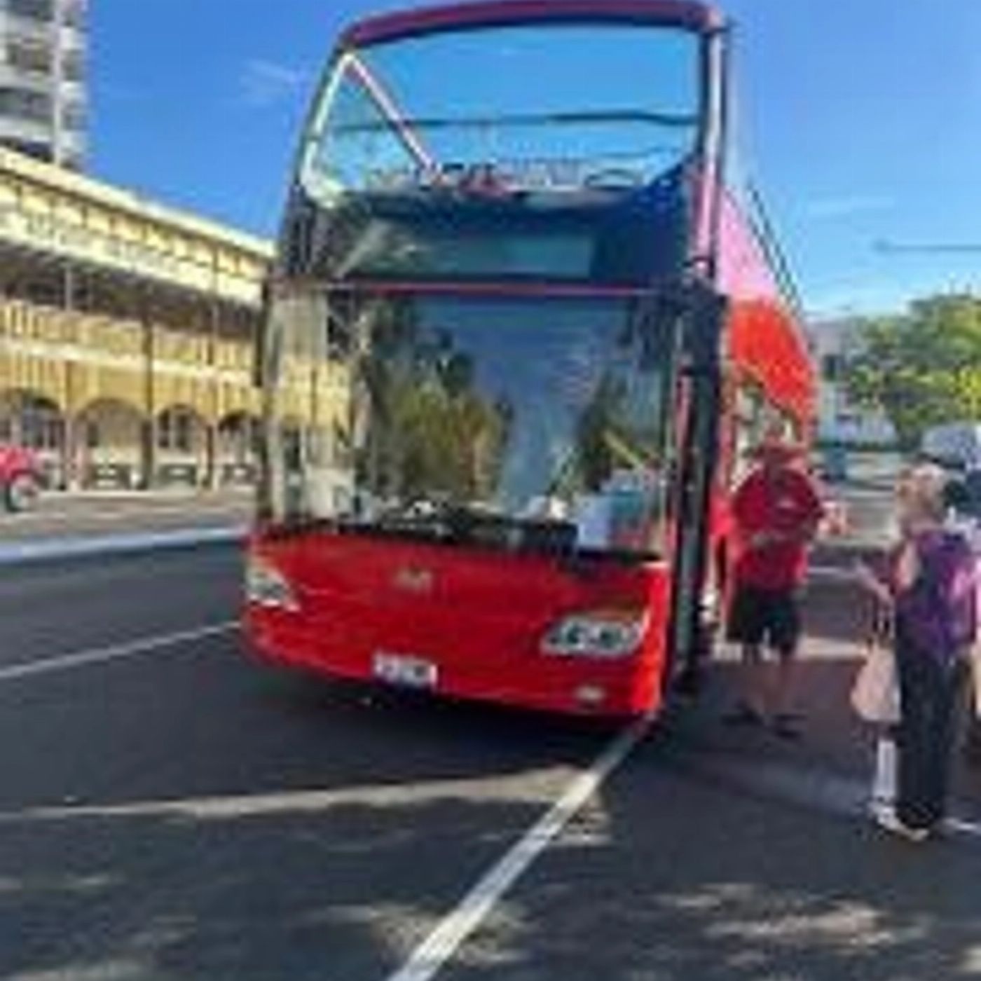 Experience True Adventure Cairns Hop on Hop off