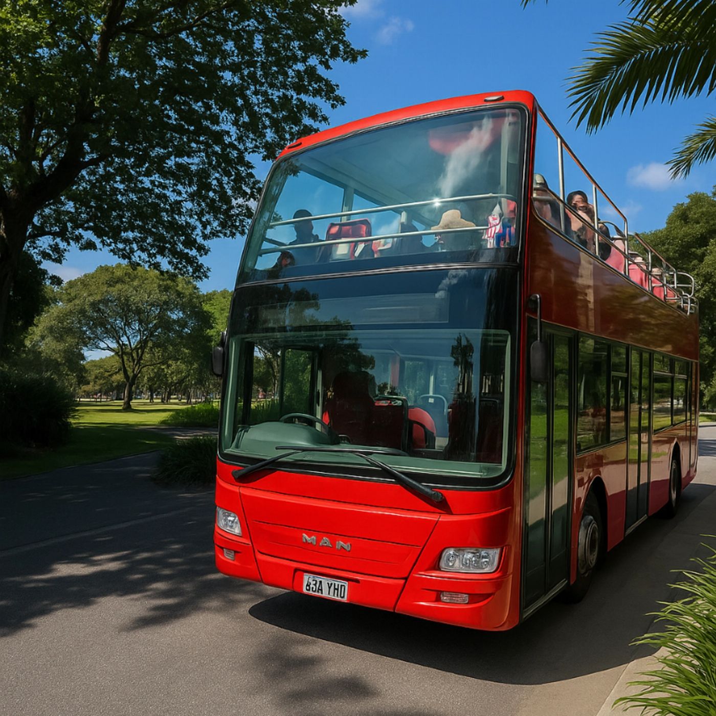 Experience True Adventure Cairns Hop on Hop off