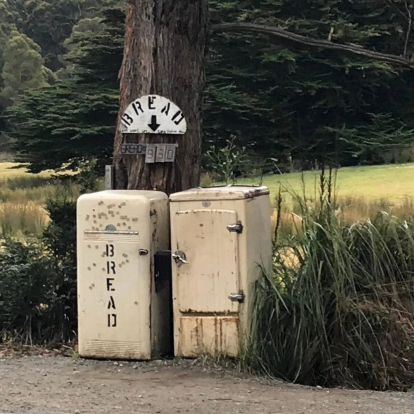 Safe Travel and Tour Services Bruny Island Day Tour Scenic Views And Local Tastings
