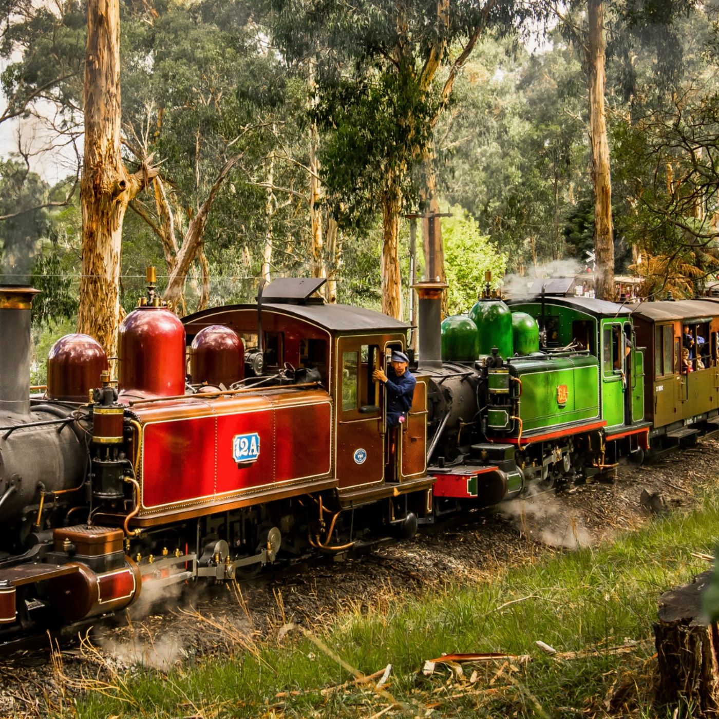 Go West Tours Puffing Billy, Forest Trails & Yarra Valley Discovery Tour
