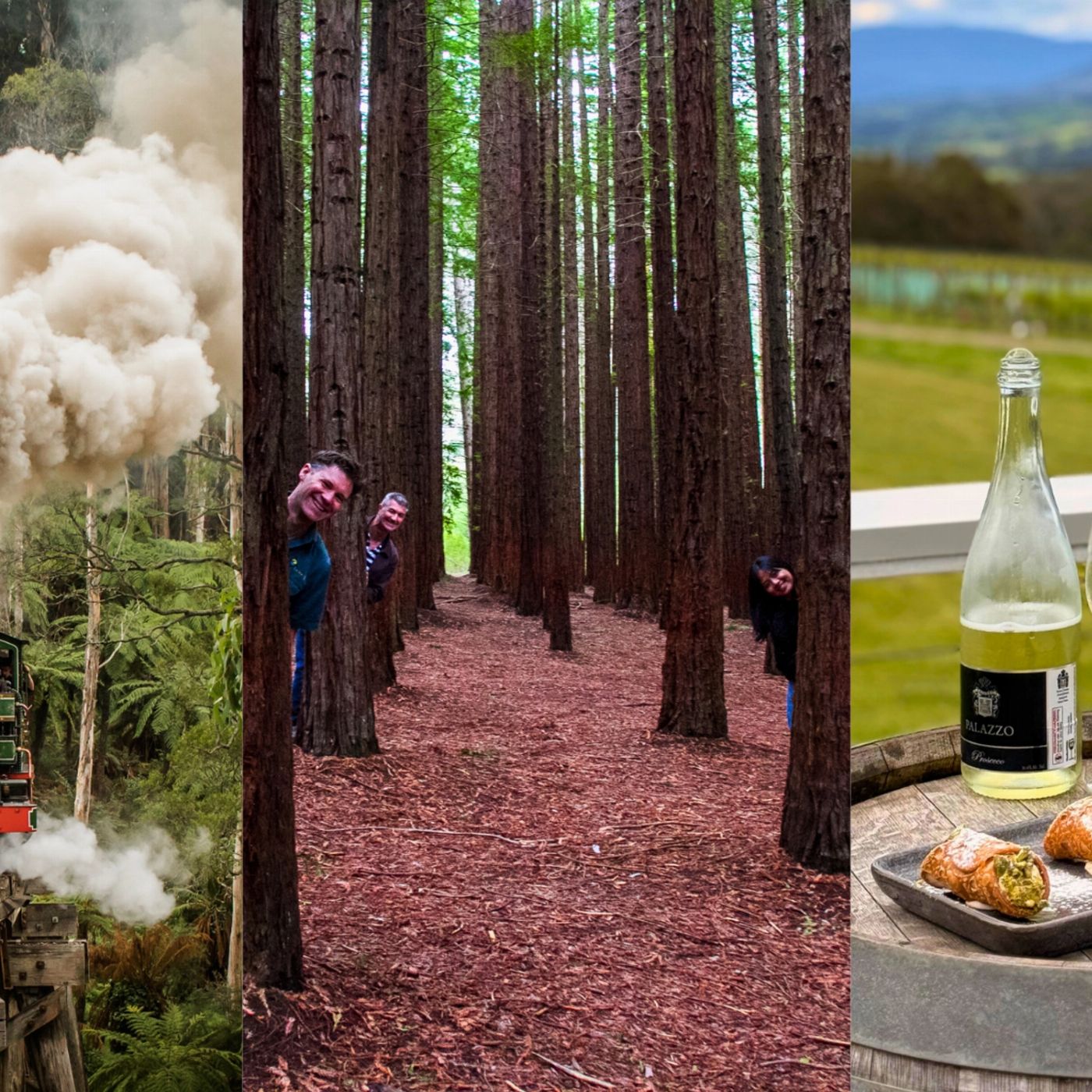 Go West Tours Puffing Billy, Forest Trails & Yarra Valley Discovery Tour