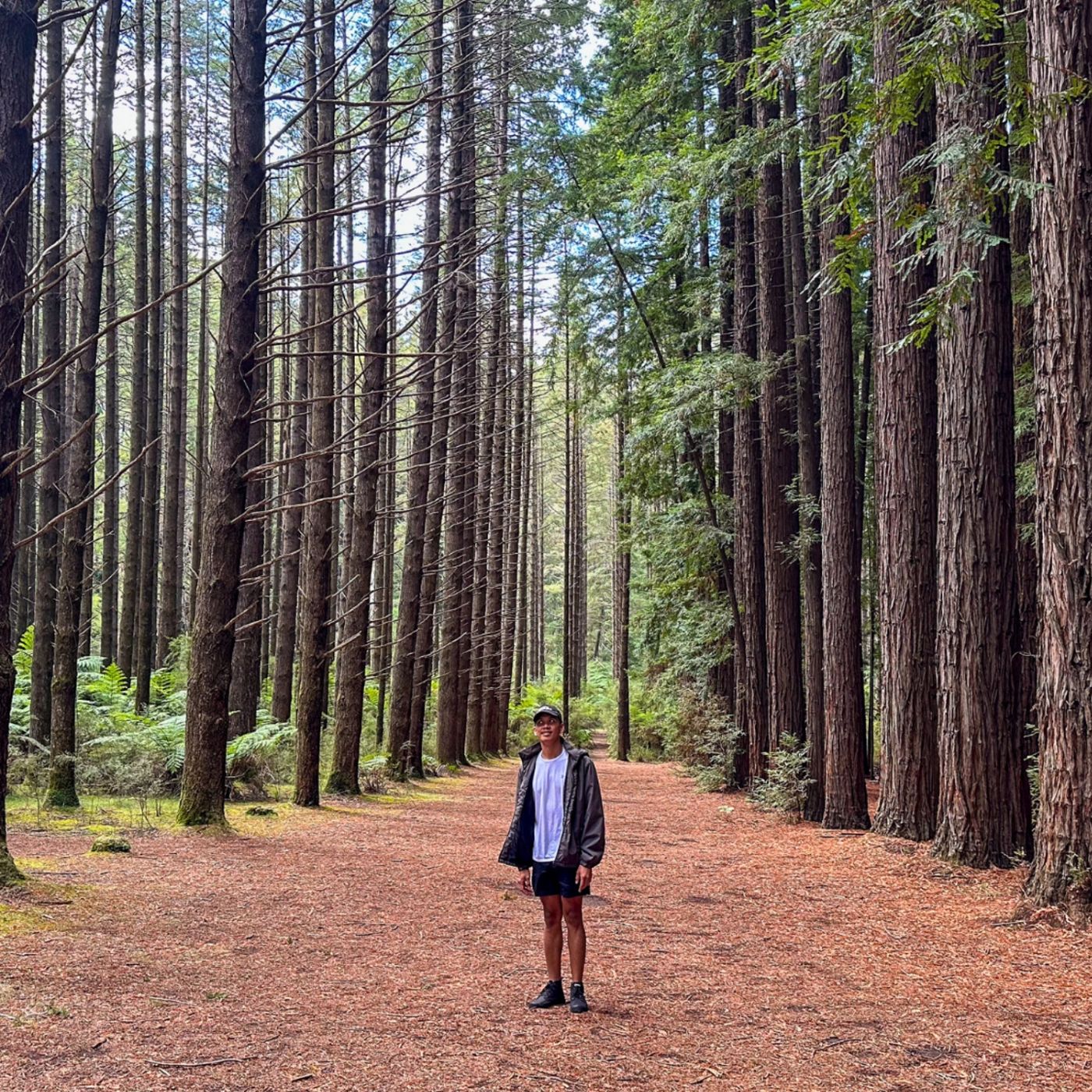 Go West Tours Puffing Billy, Forest Trails & Yarra Valley Discovery Tour