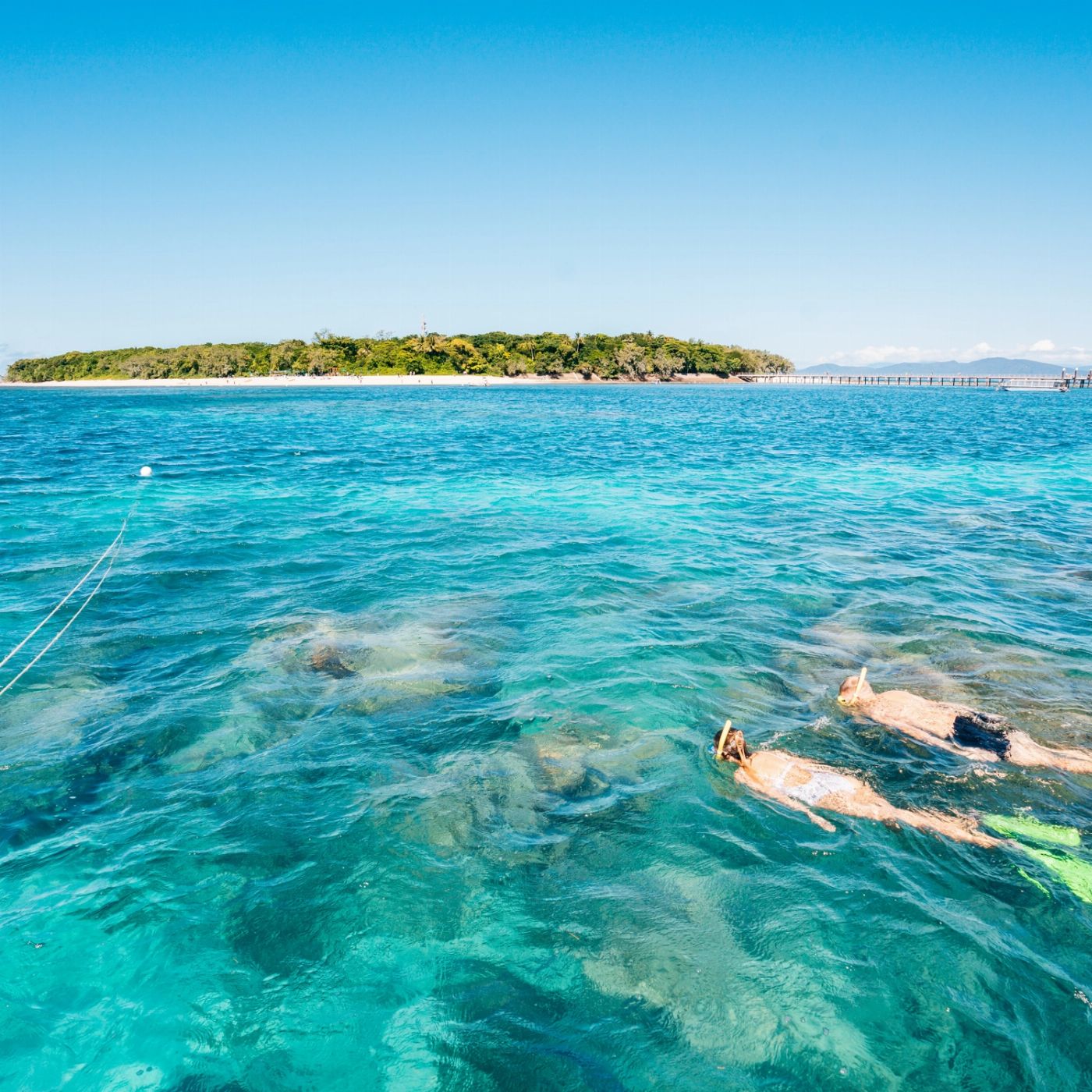 Great Adventures Green Island Eco (Snorkel Gear or Glass Bottom Boat) + 1 Introductory Dive