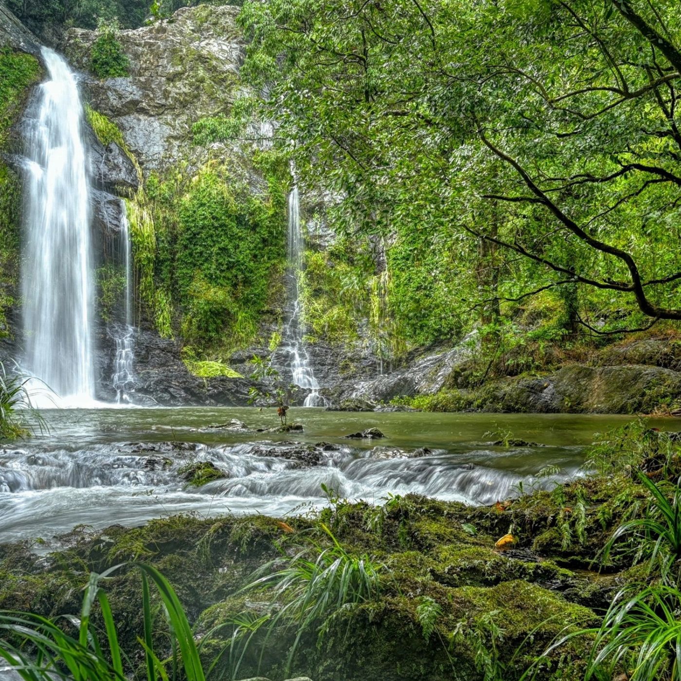 Cassowary Falls Gateway UTV Guided Waterfall Tour